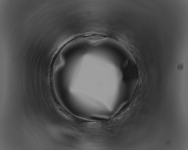 X0000091450050200708301818