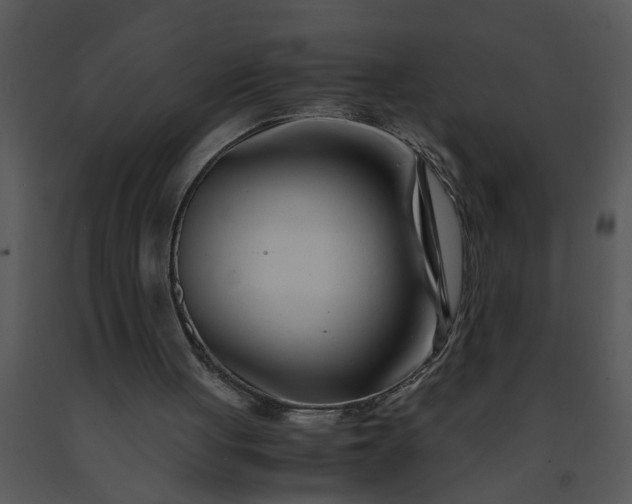 X0000091450051200708301818