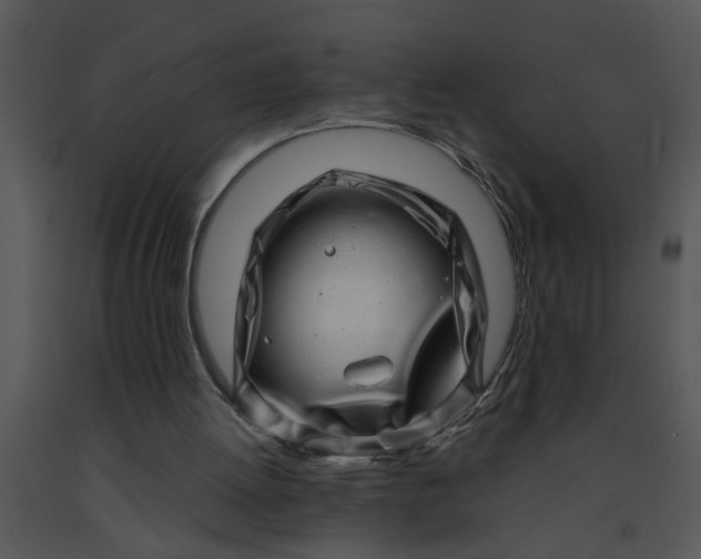 X0000091450052200708301818