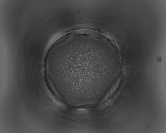 X0000091450053200708301818