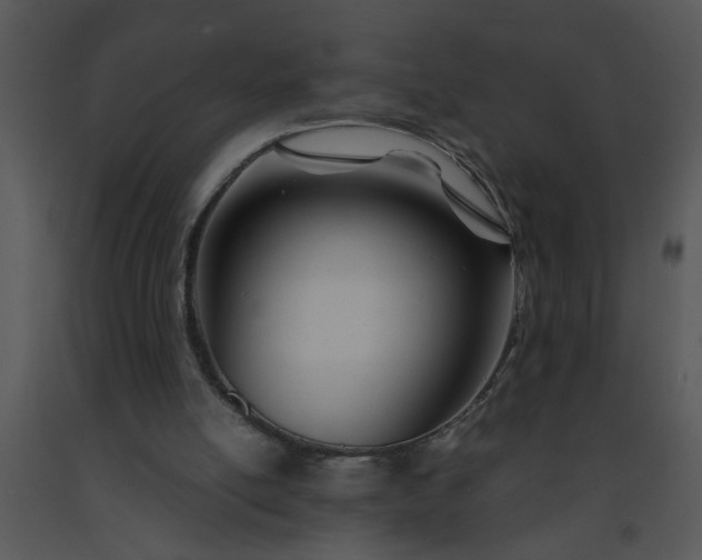 X0000091450054200708301818