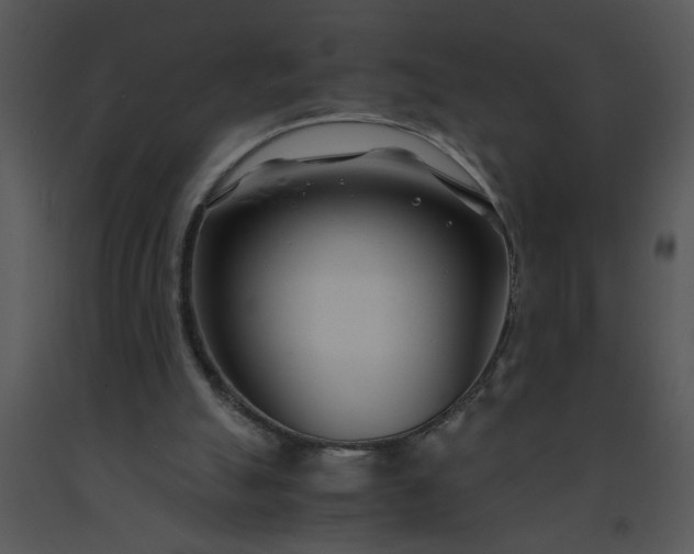 X0000091450055200708301818