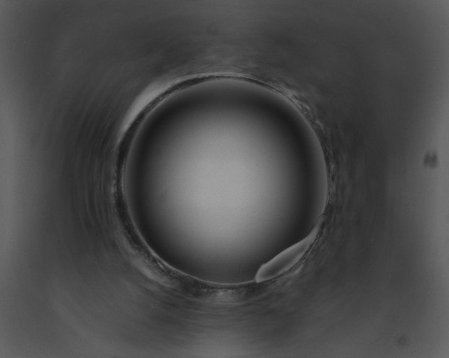 X0000091450056200708301818