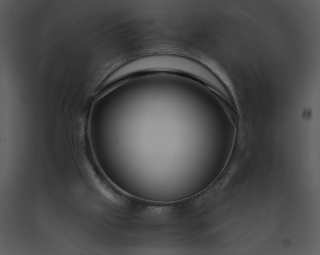 X0000091450057200708301818