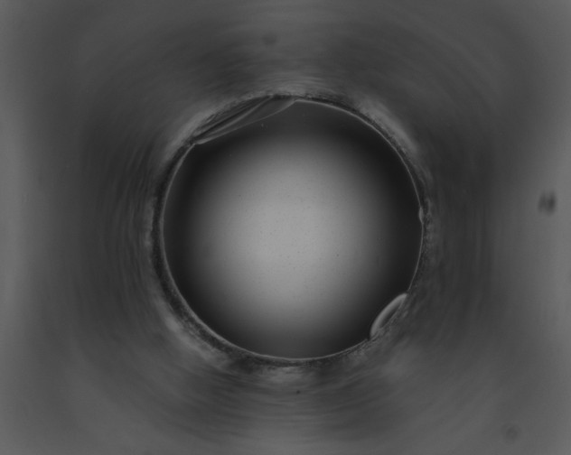 X0000091450058200708301818