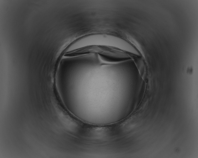 X0000091450059200708301818