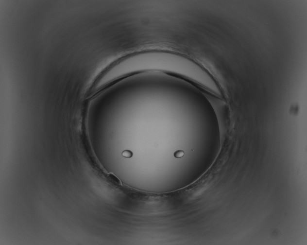 X0000091450060200708301818