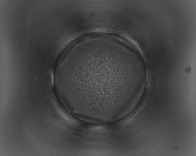 X0000091450061200708301818