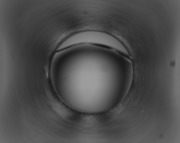 X0000091450062200708301818