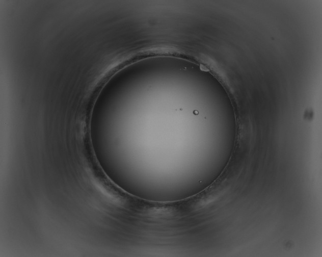 X0000091450063200708301818