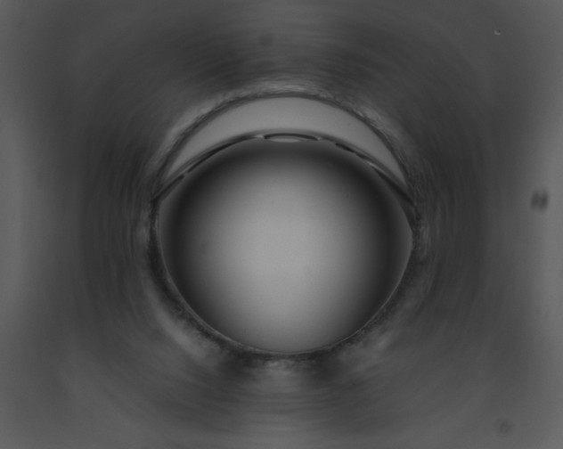 X0000091450064200708301818