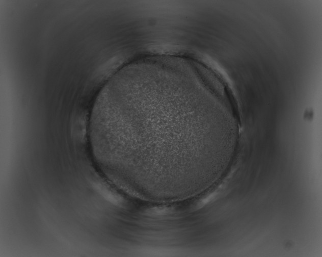 X0000091450065200708301818