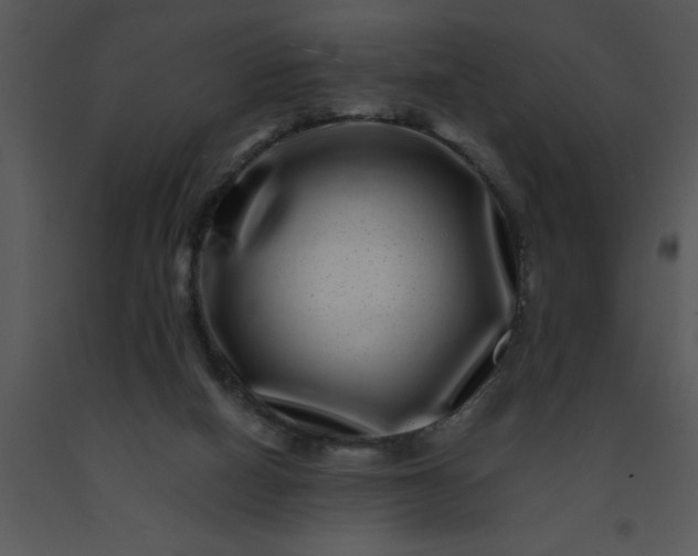 X0000091450066200708301818