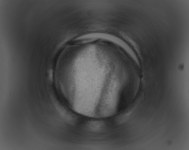 X0000091450067200708301818