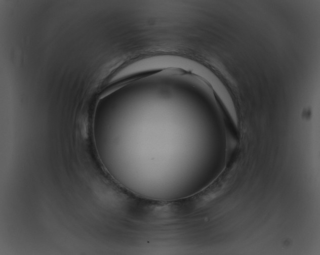 X0000091450068200708301818