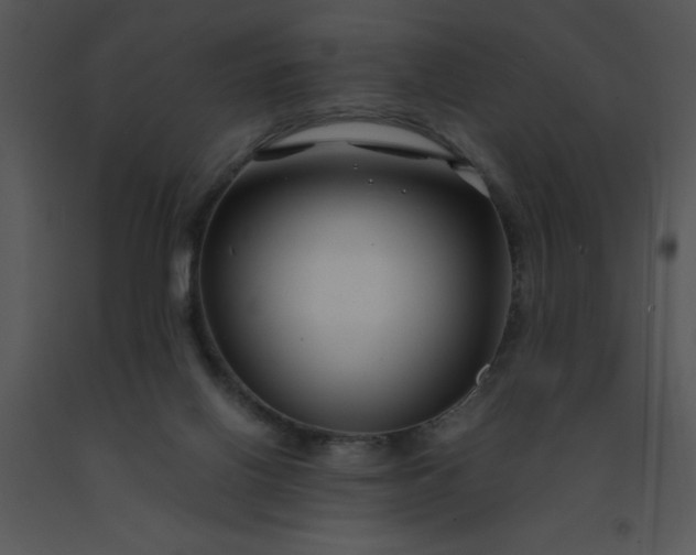 X0000091450070200708301818