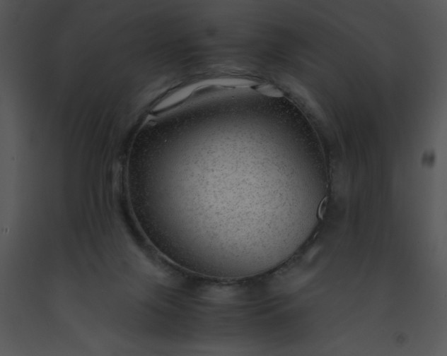 X0000091450071200708301818