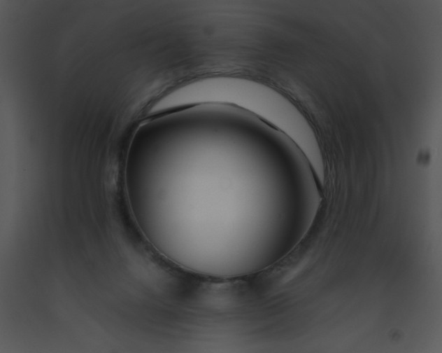 X0000091450072200708301818