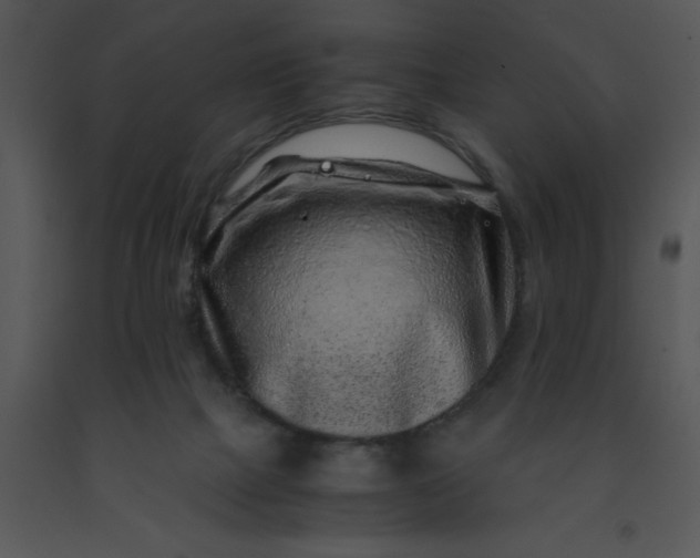 X0000091450073200708301818