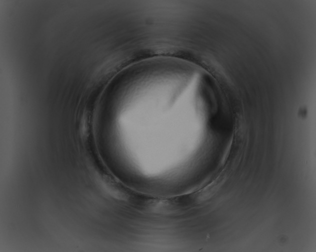 X0000091450074200708301818