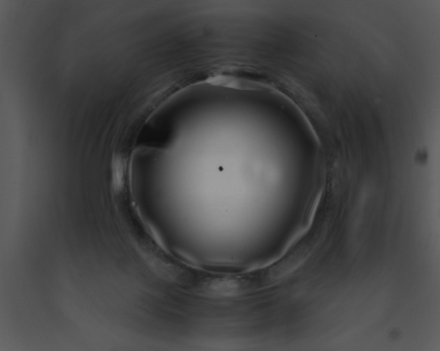 X0000091450075200708301818