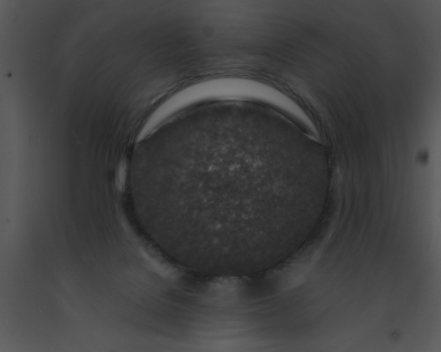 X0000091450076200708301819