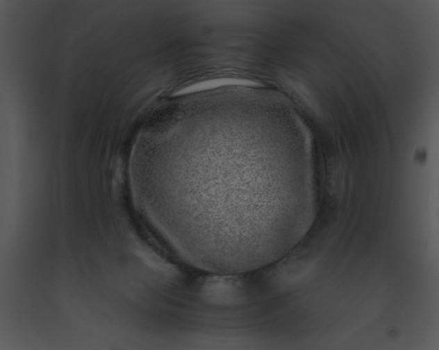 X0000091450077200708301819