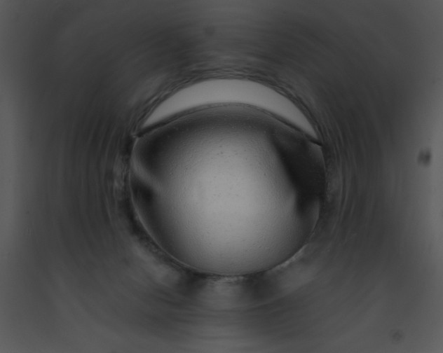 X0000091450078200708301819