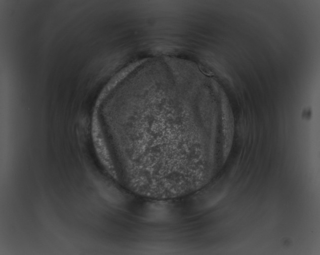 X0000091450079200708301819