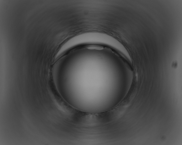 X0000091450080200708301819