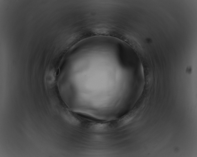 X0000091450081200708301819