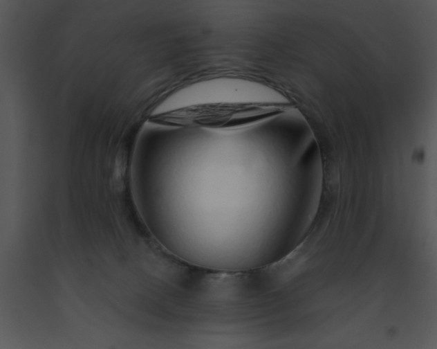 X0000091450082200708301819