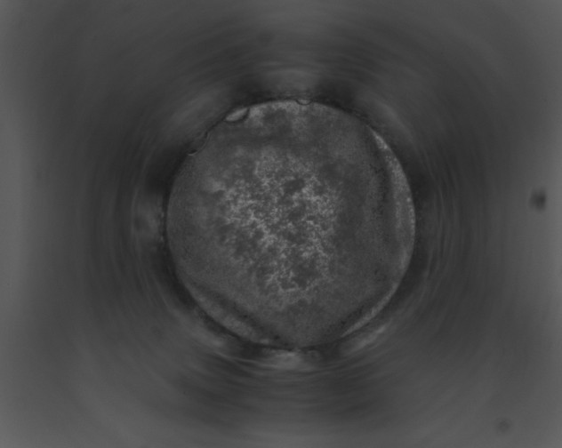 X0000091450083200708301819