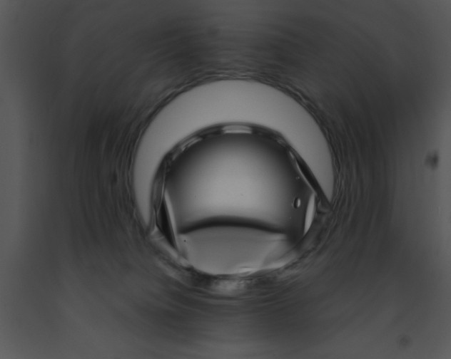 X0000091450084200708301819