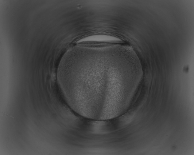 X0000091450085200708301819