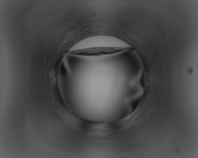 X0000091450086200708301819