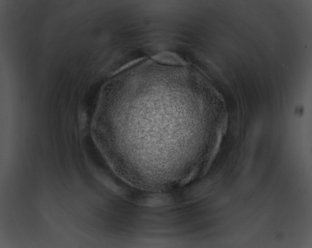 X0000091450087200708301819