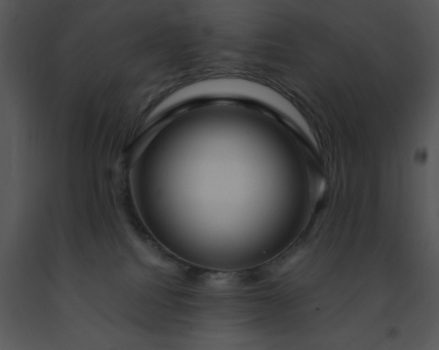 X0000091450088200708301819