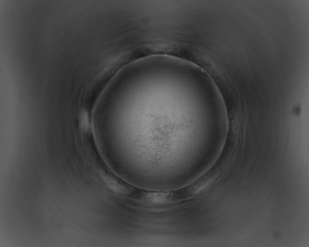 X0000091450089200708301819