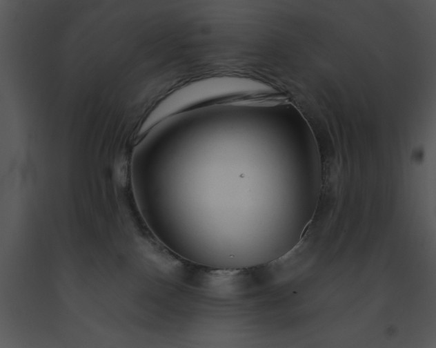 X0000091450090200708301819