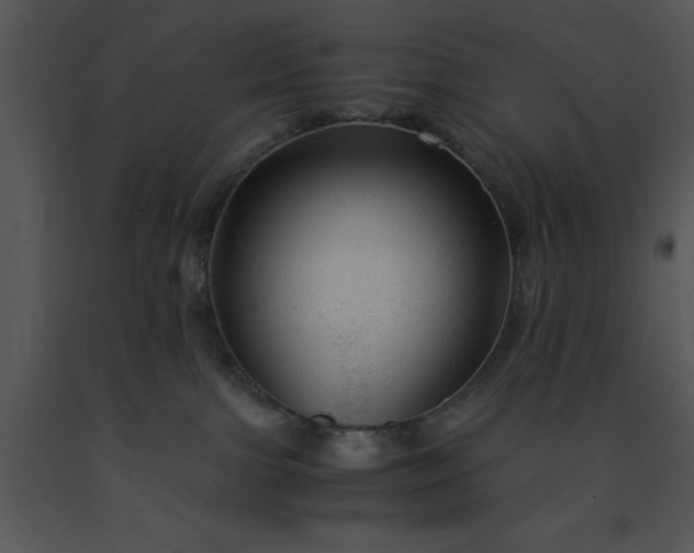 X0000091450091200708301819