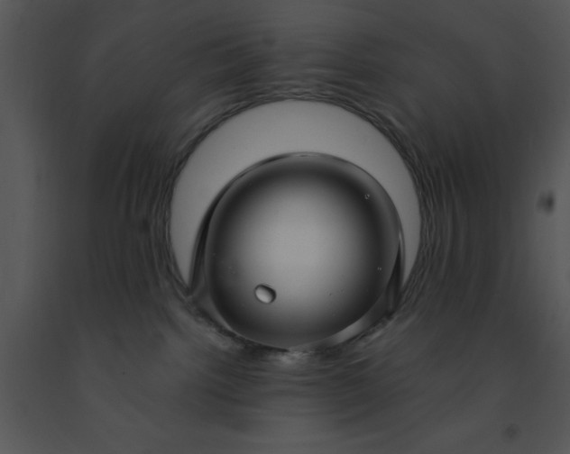 X0000091450092200708301819