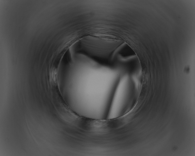 X0000091450094200708301819