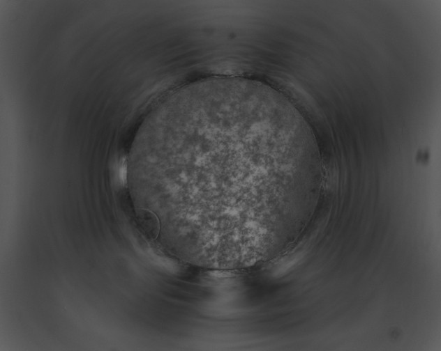 X0000091450095200708301819