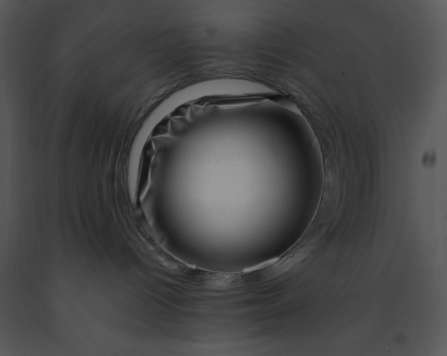 X0000091450096200708301819