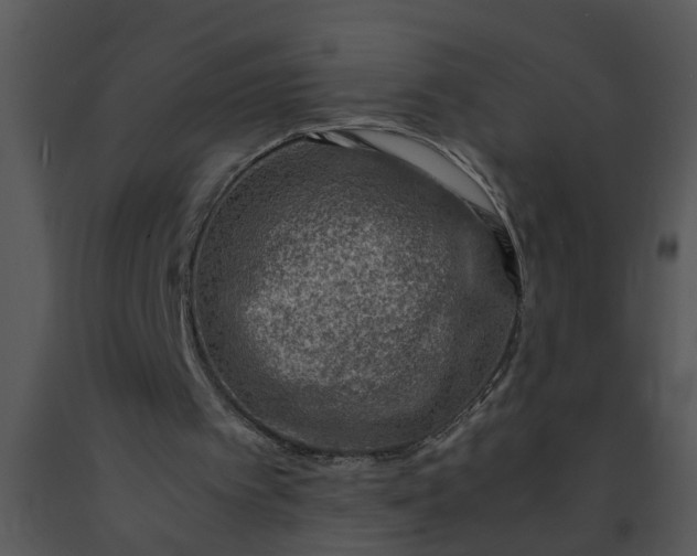 X0000091450097200708301818