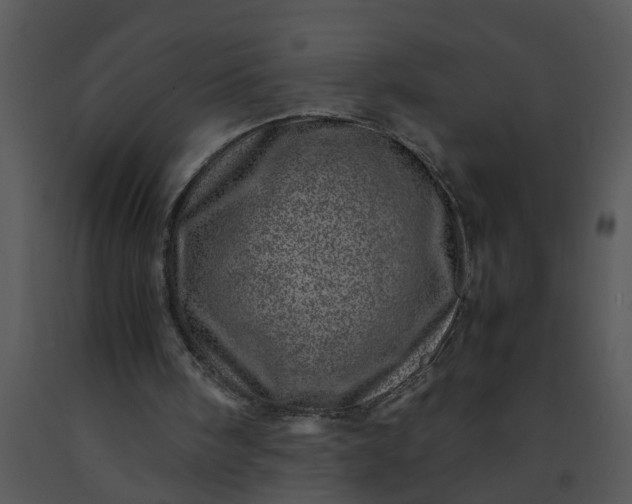 X0000091450098200708301818