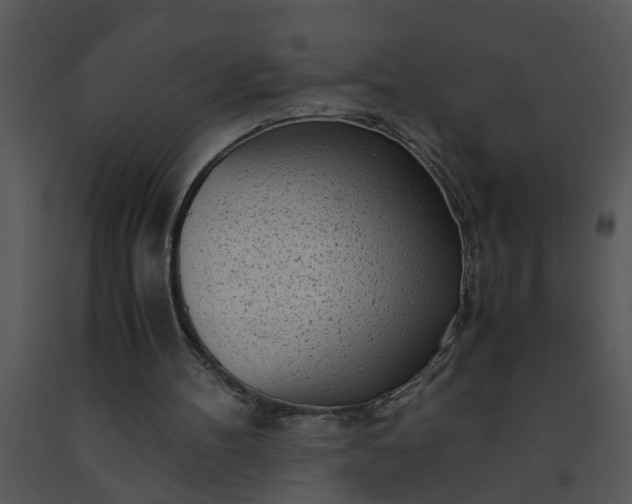 X0000091450100200708301818