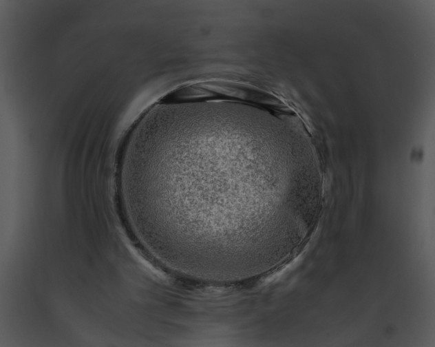 X0000091450101200708301818