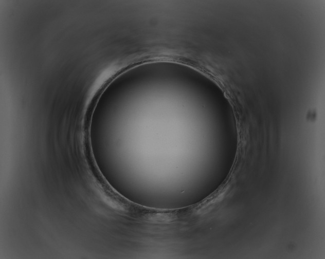 X0000091450102200708301818